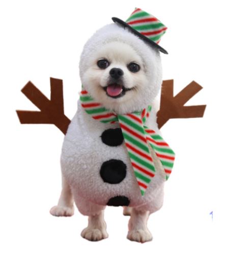 NV21 Disfraz Muñeco de Nieve, Paw Pets