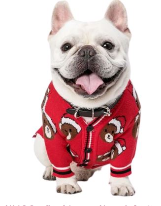 NV16 Sueter Navideño, Paw Pets