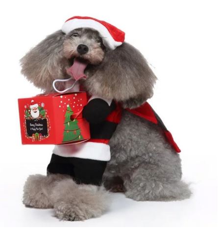 NV25 Disfraz Santa Claus con caja, Paw Pets