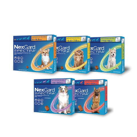 Frontline nexgard deals
