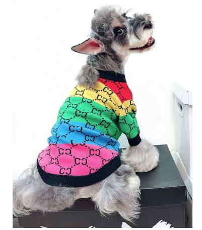 P10 Sudadera Pride Gucci, Paw Pets