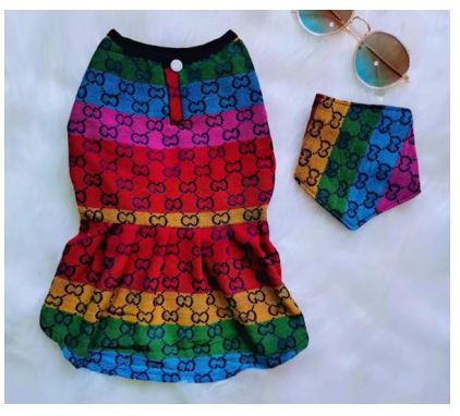P12 Vestido Gucci Pride, Paw Pets