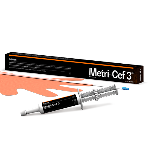 METRI CEF3 30ML - VETERMEX