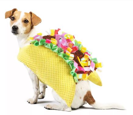 SEP09 Disfraz de Taco, Paw Pets