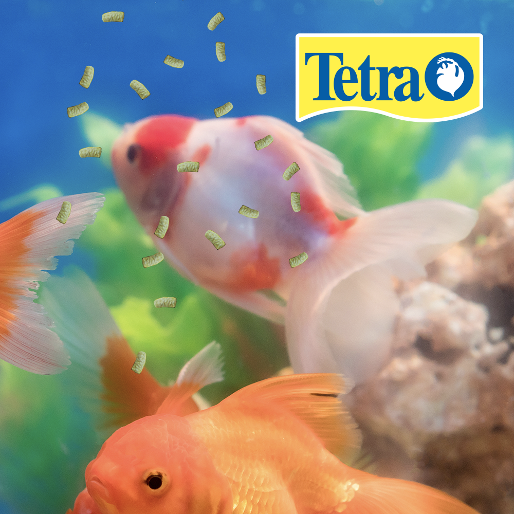 TETRAPOND STICKS 11 LB (5 KG)