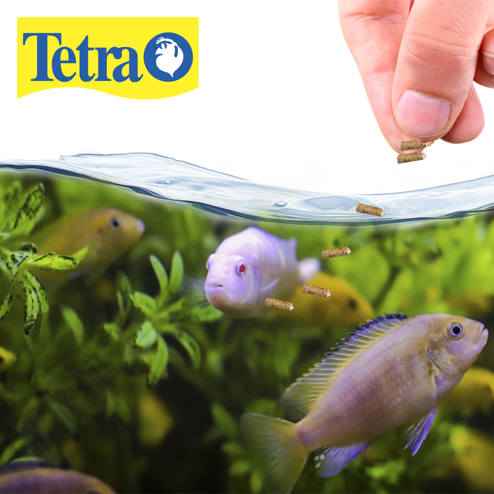 TETRACICHLID JUMBO STICKS 7.4 OZ (210G)