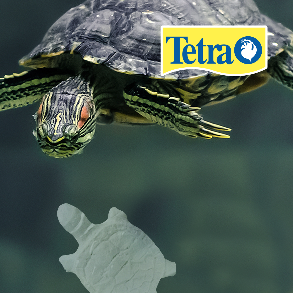 REPTOGUARD FOR REPTILES AND AMPHIBIANS TETRA