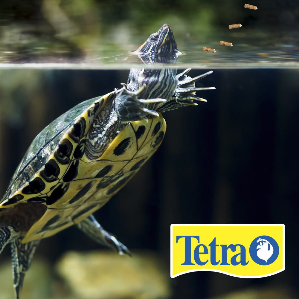 REPTOMIN PLUS FOOD STICKS TETRA