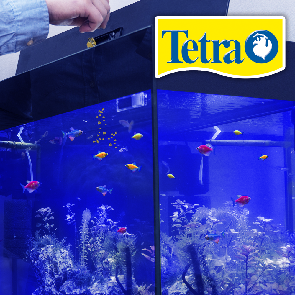 GLOFISH FLAKES 1.59 OZ (45 G) TETRA