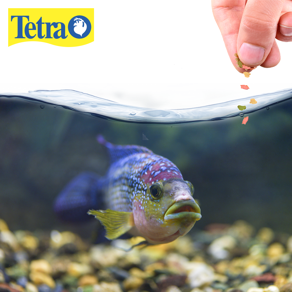 TETRAMIN SELECT-A-FOOD 2.4 OZ (68 G)