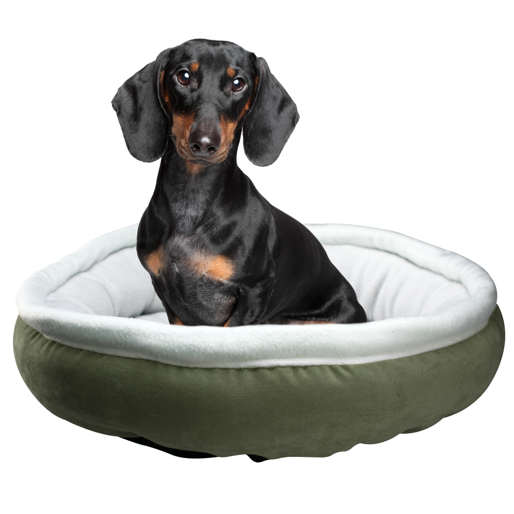 CAMA SURTIDA FANCYPETS