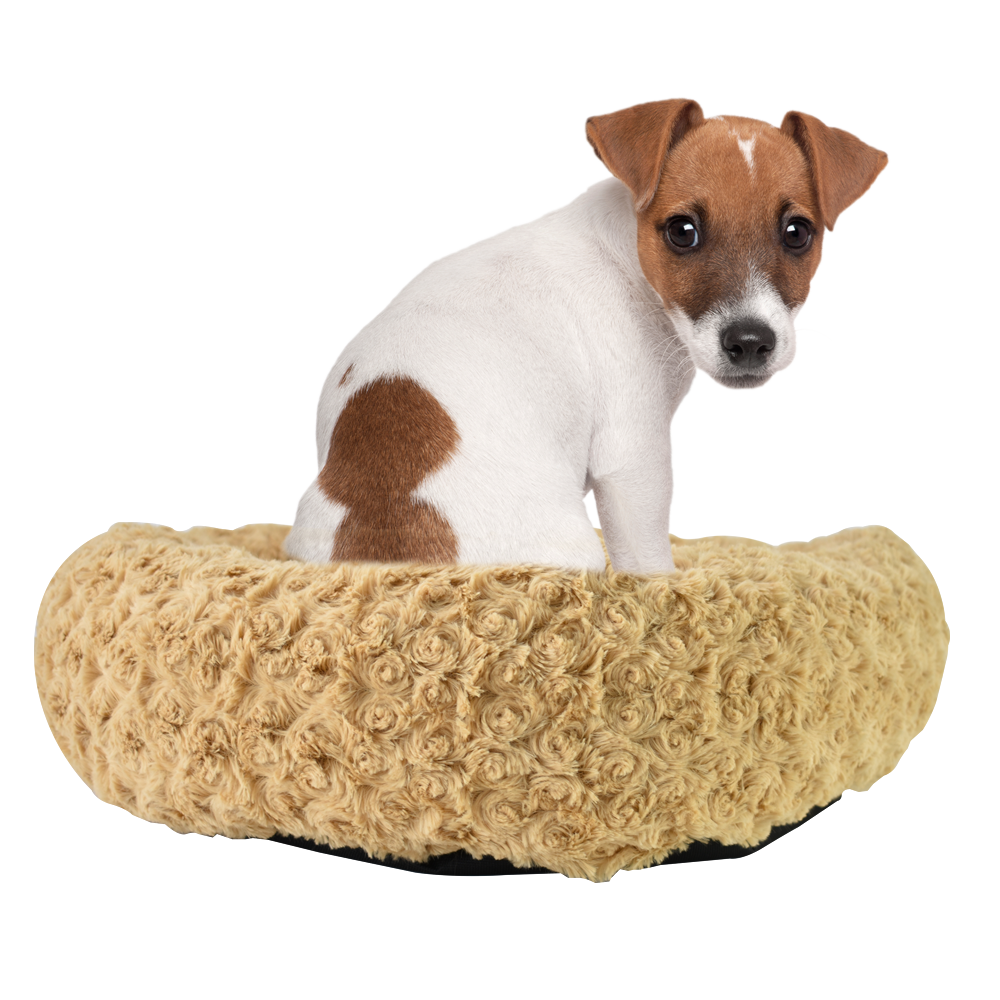 CAMA CARAMELO PUPPY FANCYPETS