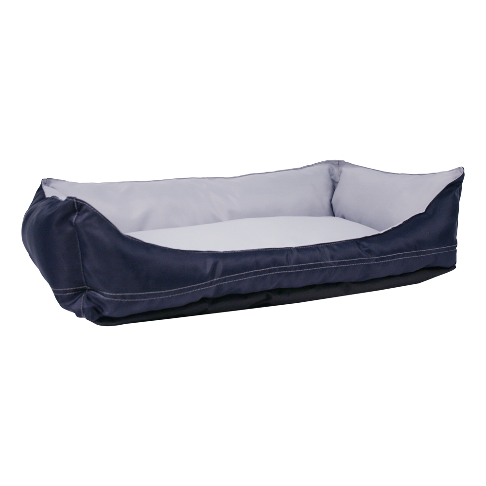 CAMA EXPLORER FANCYPETS