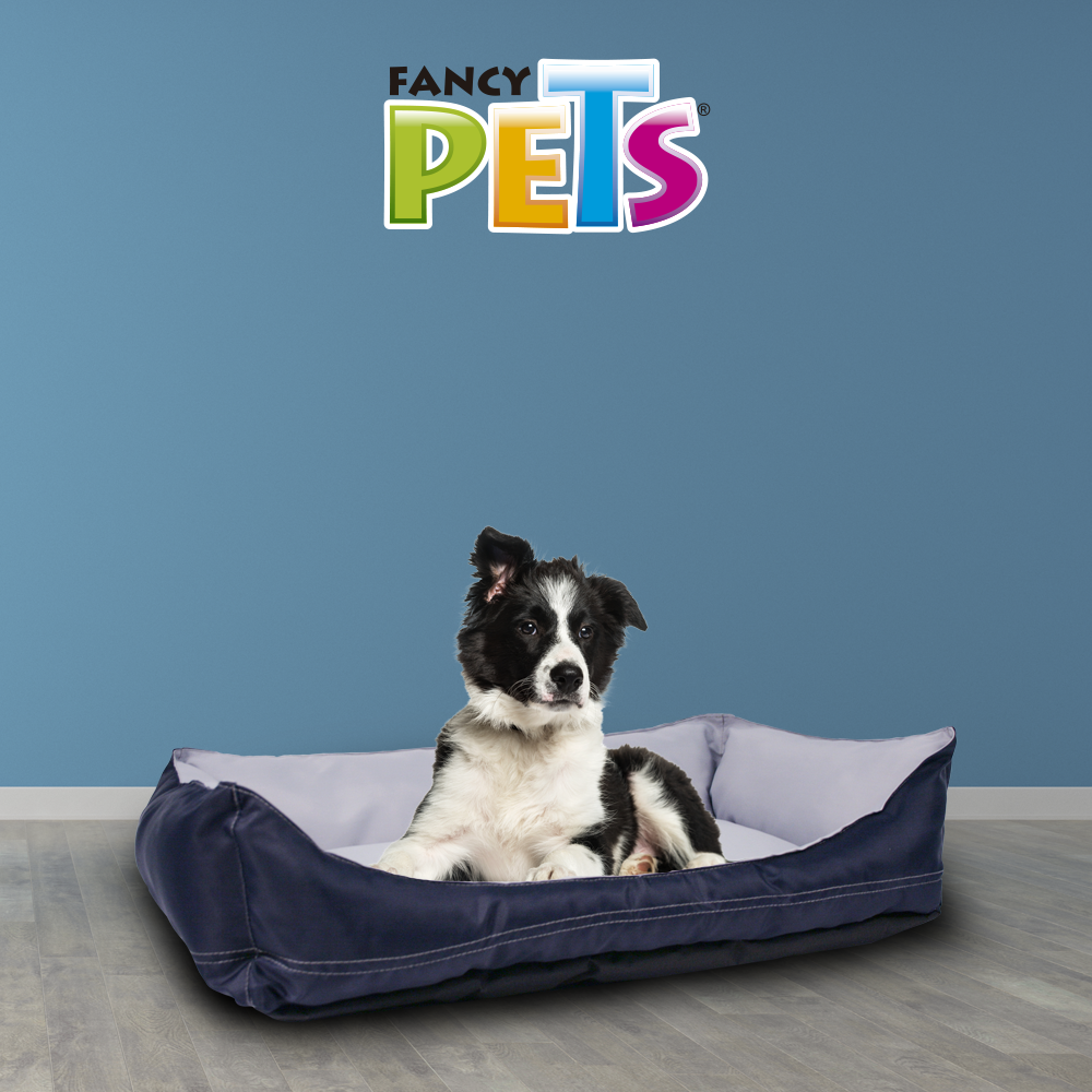 CAMA EXPLORER FANCYPETS