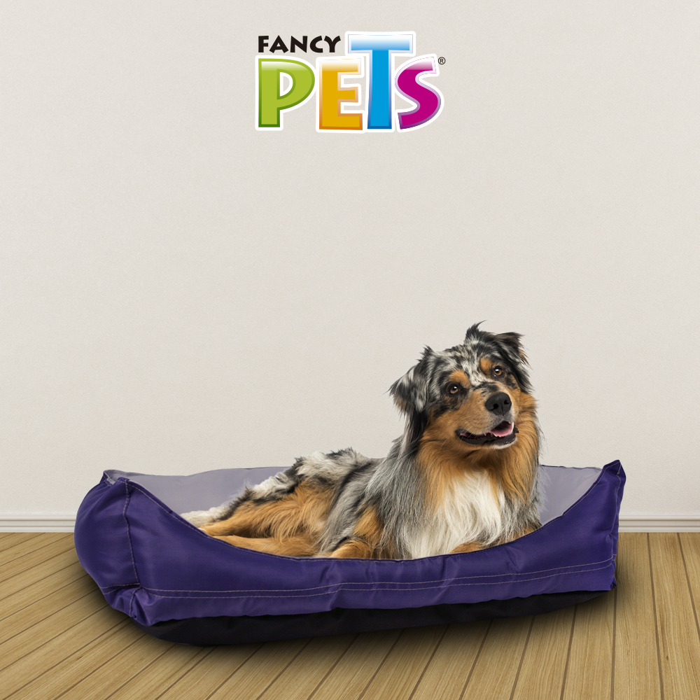 CAMA EXPLORER FANCYPETS