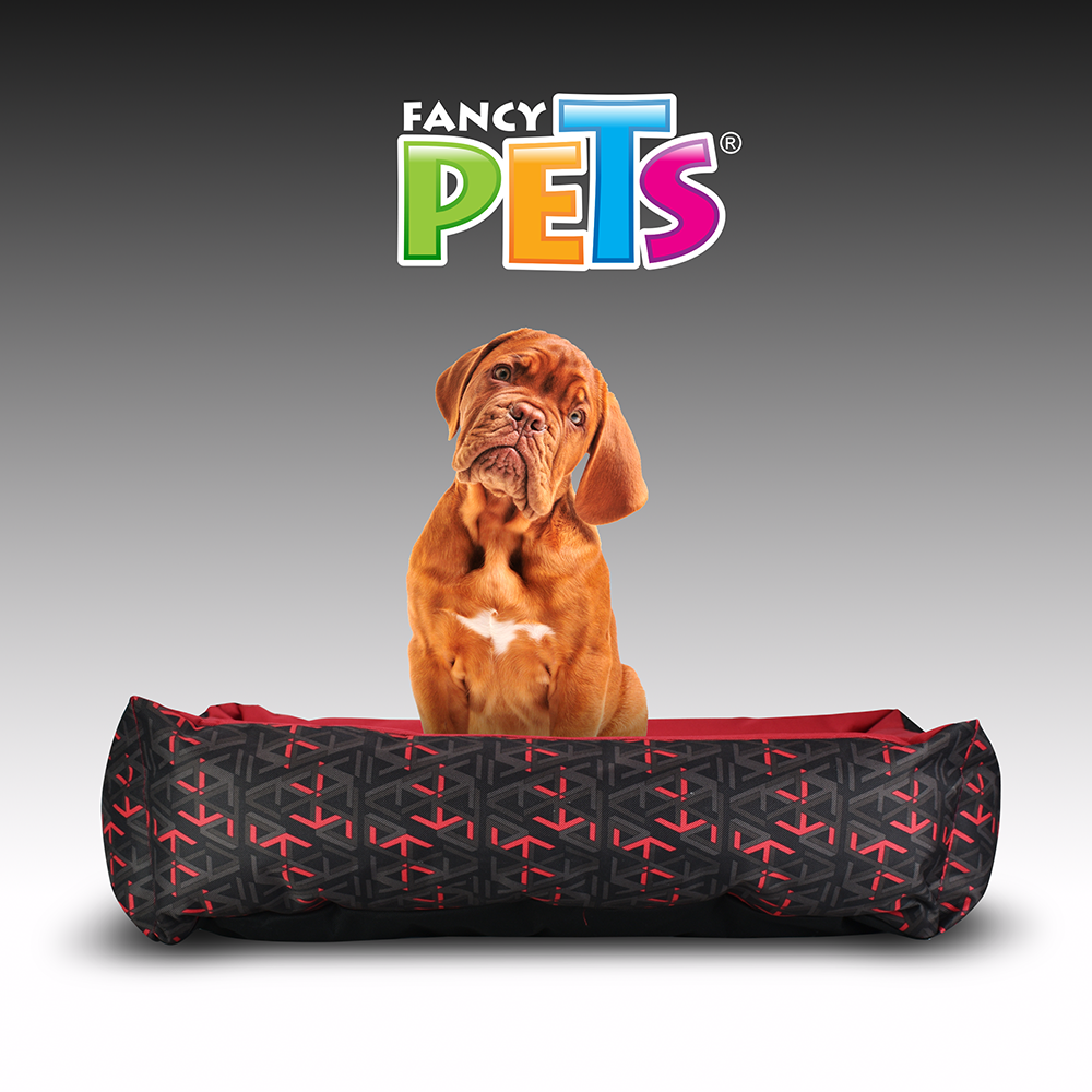 CAMA LUCKY FANCYPETS