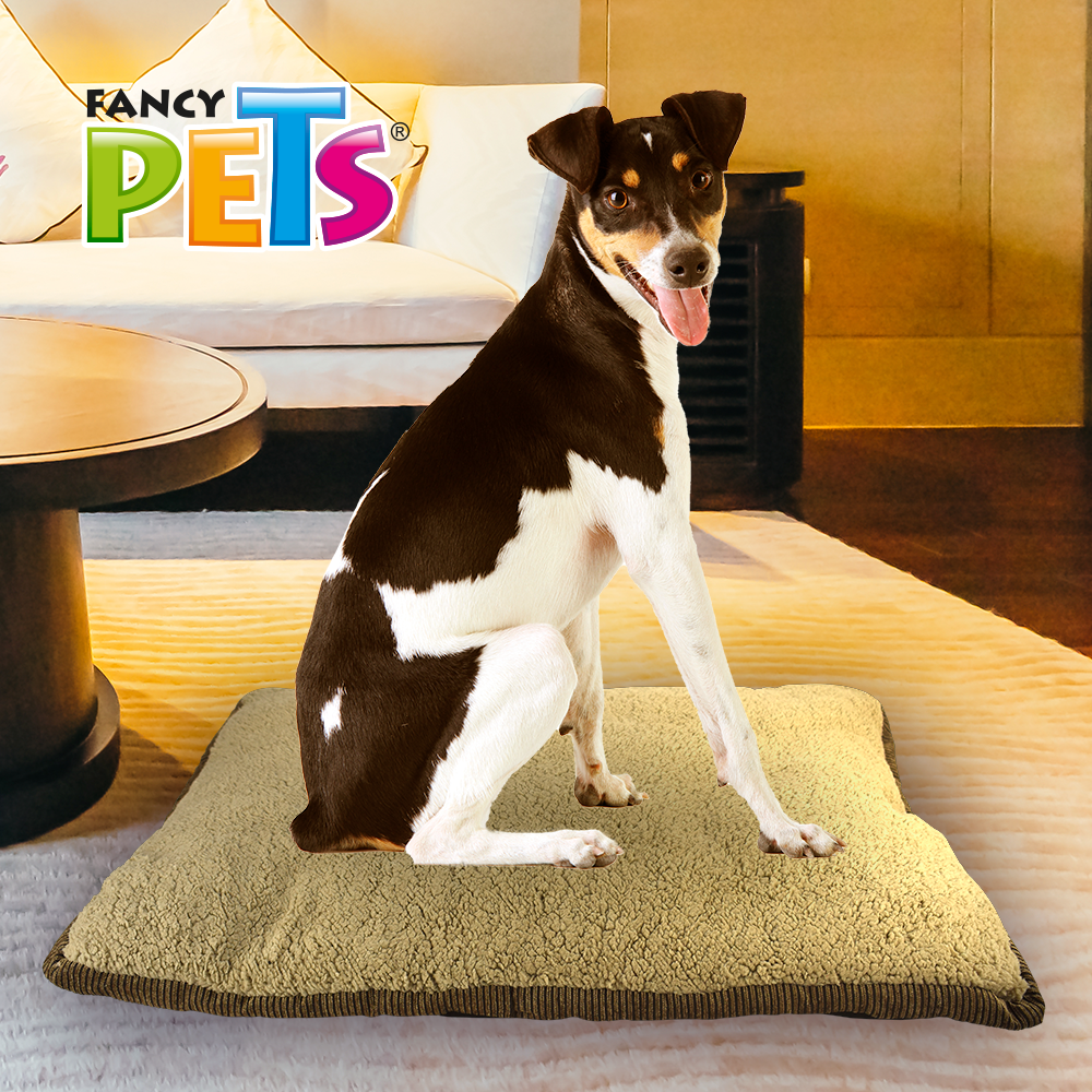 COLCHONETA BEIGE C/CAFE COPO DE NIEVE FANCY PETS