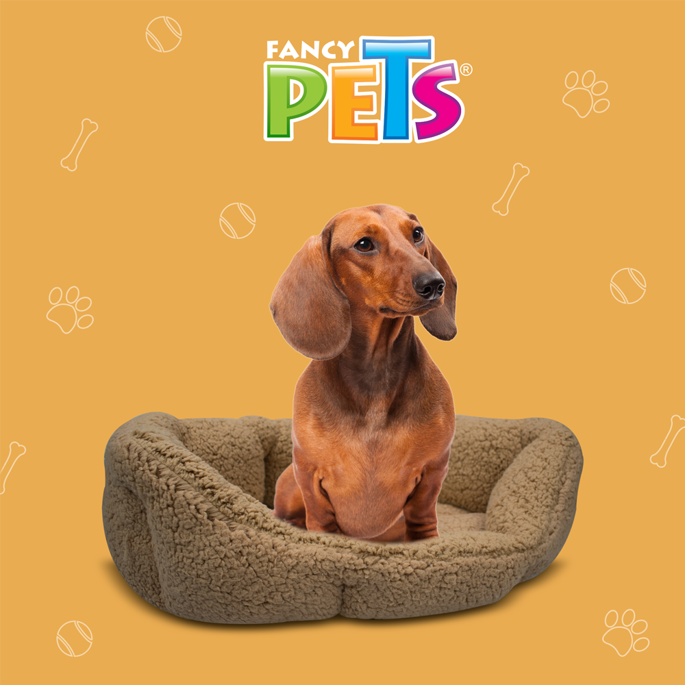 CAMA BICHON FRISE FANCY PETS