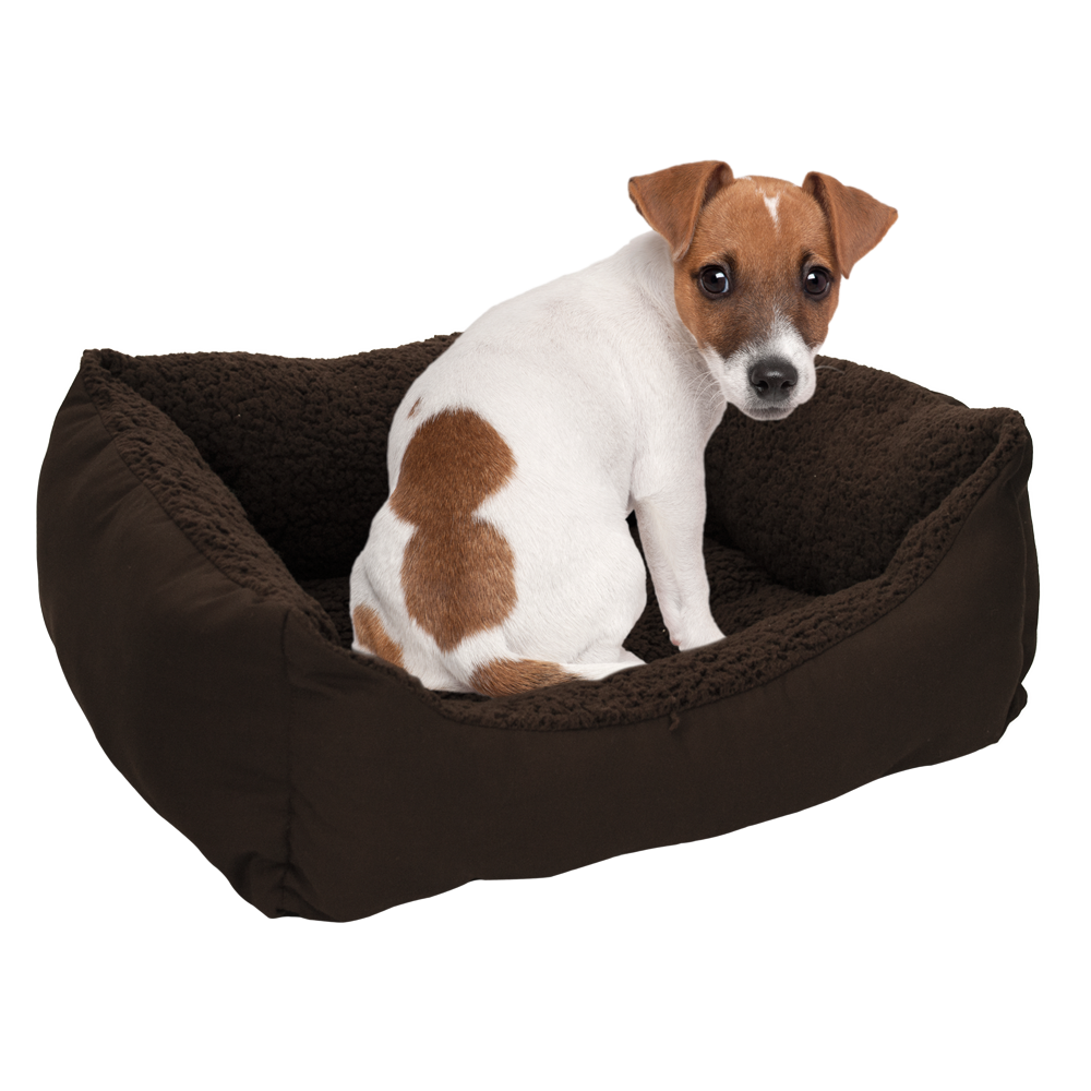 CAMA SPANIEL FANCYPETS