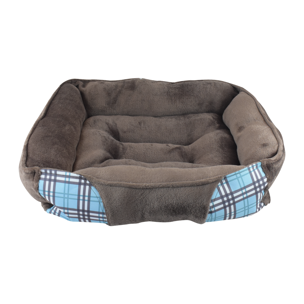 CAMA HALLEY FANCYPETS