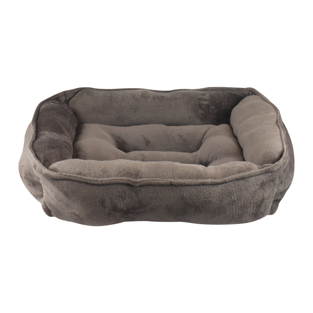 CAMA HALLEY FANCYPETS