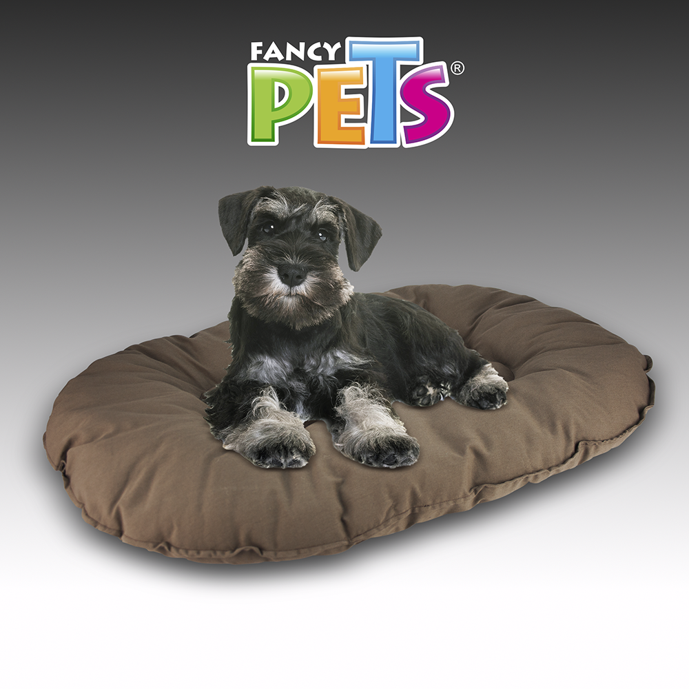 COJIN XGDE COCOA FANCYPETS