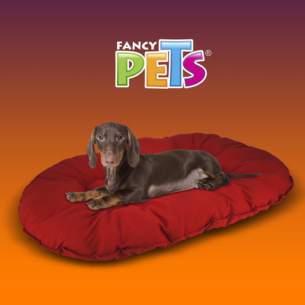 COJIN XGDE VINO FANCYPETS