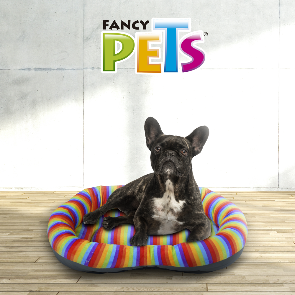 CAMA IVVY FANCYPETS