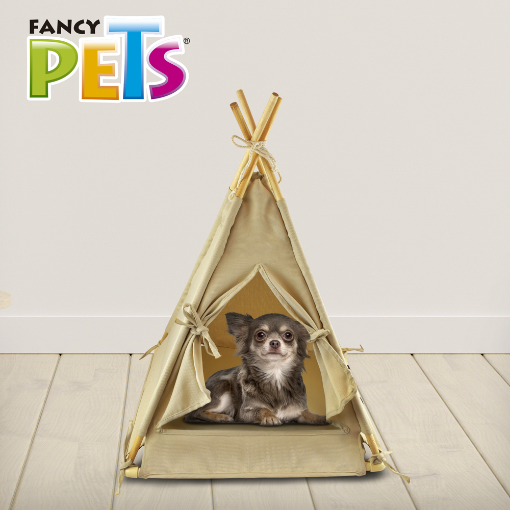 TIPEE COLOR ARENA FANCYPETS