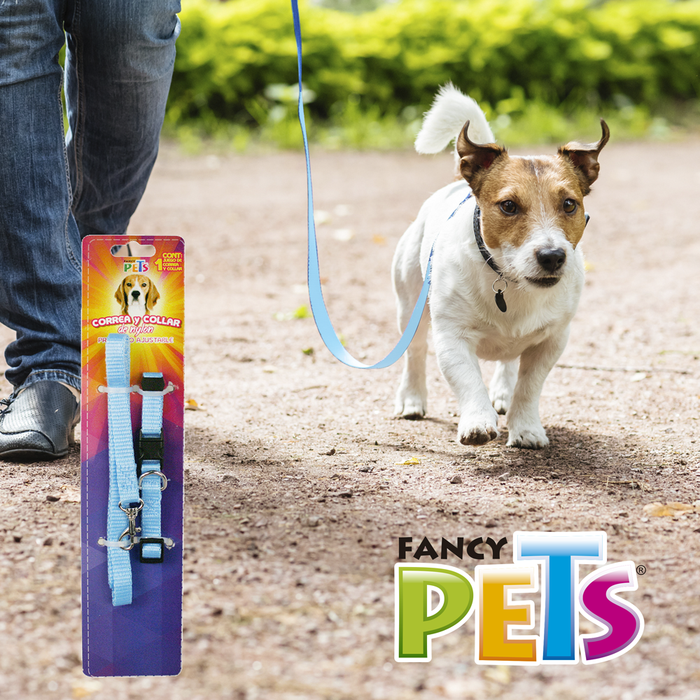 JUEGO CORREA/COLLAR ACANALADO CH FANCYPETS