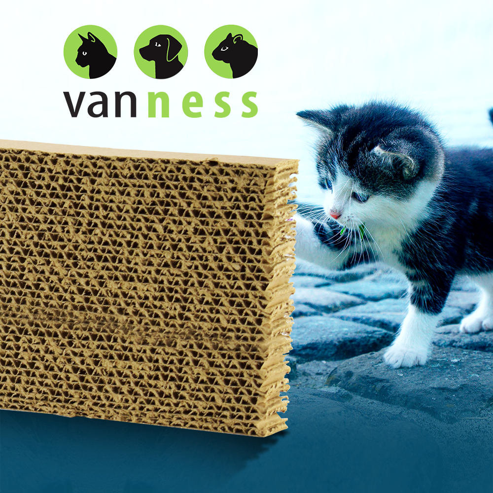TAPETE RASCADOR SENCILLO P/GATO VAN NESS