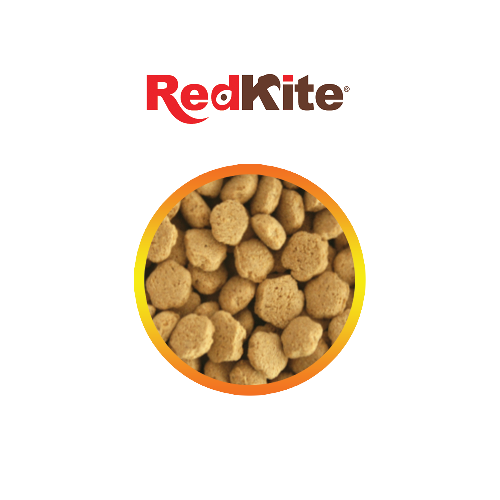 ALIMENTO P/HAMSTER 450 G REDKITE