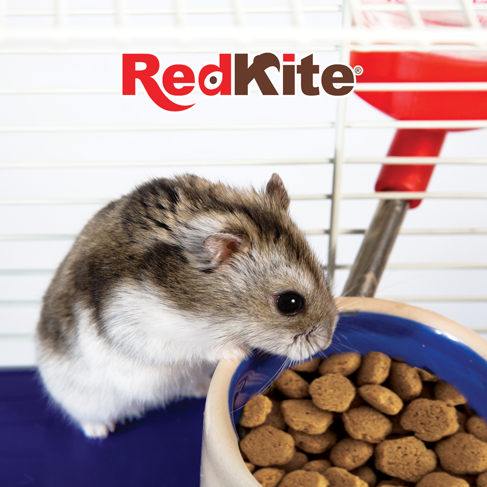 ALIMENTO P/HAMSTER 450 G REDKITE