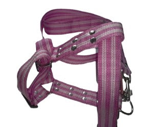 JUEGO DE PECHERA Y CORREA DE NYLON LISO (varios colores) - SILVERADO