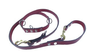 CORREA DE PIEL K9 POLICIA 2CM X 2.05MTS (varios colores) - SILVERADO