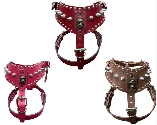 SILVERADO- PECHERA SILVERADO ESTANDAR PIT BULL