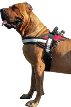 PECHERA SILVERADO ESTANDAR CON REFLEJANTE (varios colores) - SILVERADO