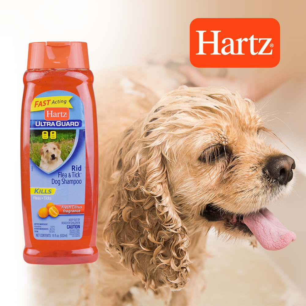 SHAMPOO ANTIPULGAS CITRUS HARTZ