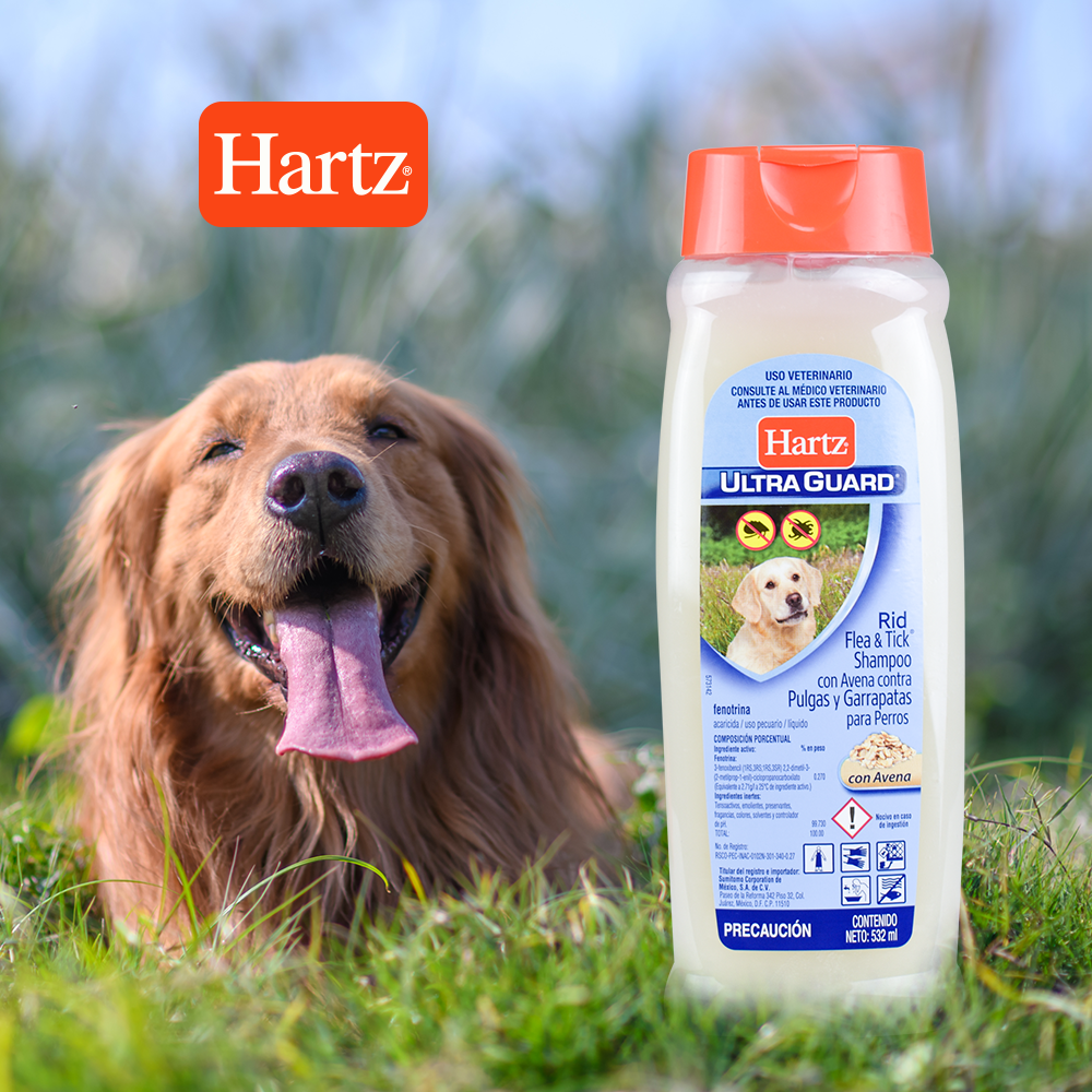 SHAMPOO ANTIPULGAS AVENA HARTZ