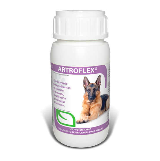 ARTROFLEX 60 TABLETAS RUILAND - BAYER