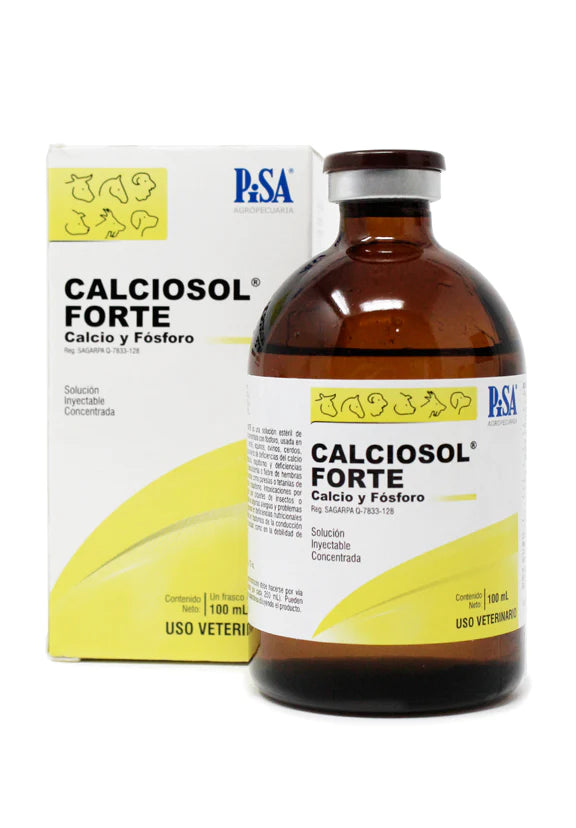 CALCIOSOL - PISA