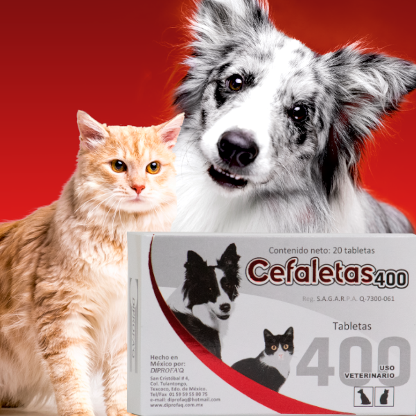 CEFALETAS ONLY - DIPROFAQ