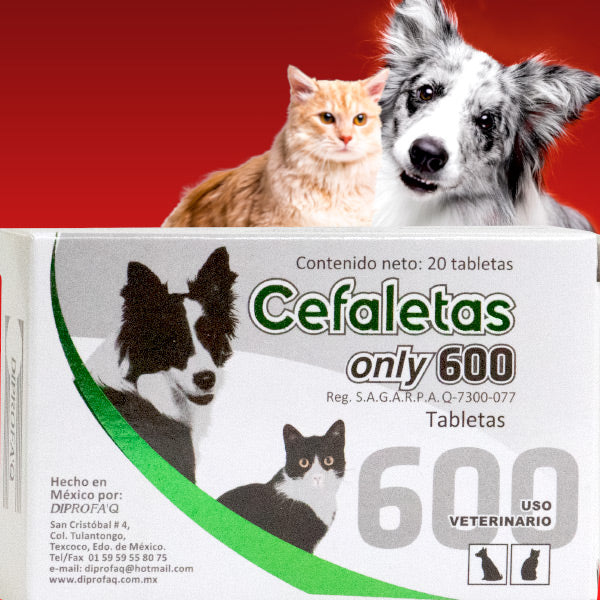 CEFALETAS ONLY - DIPROFAQ