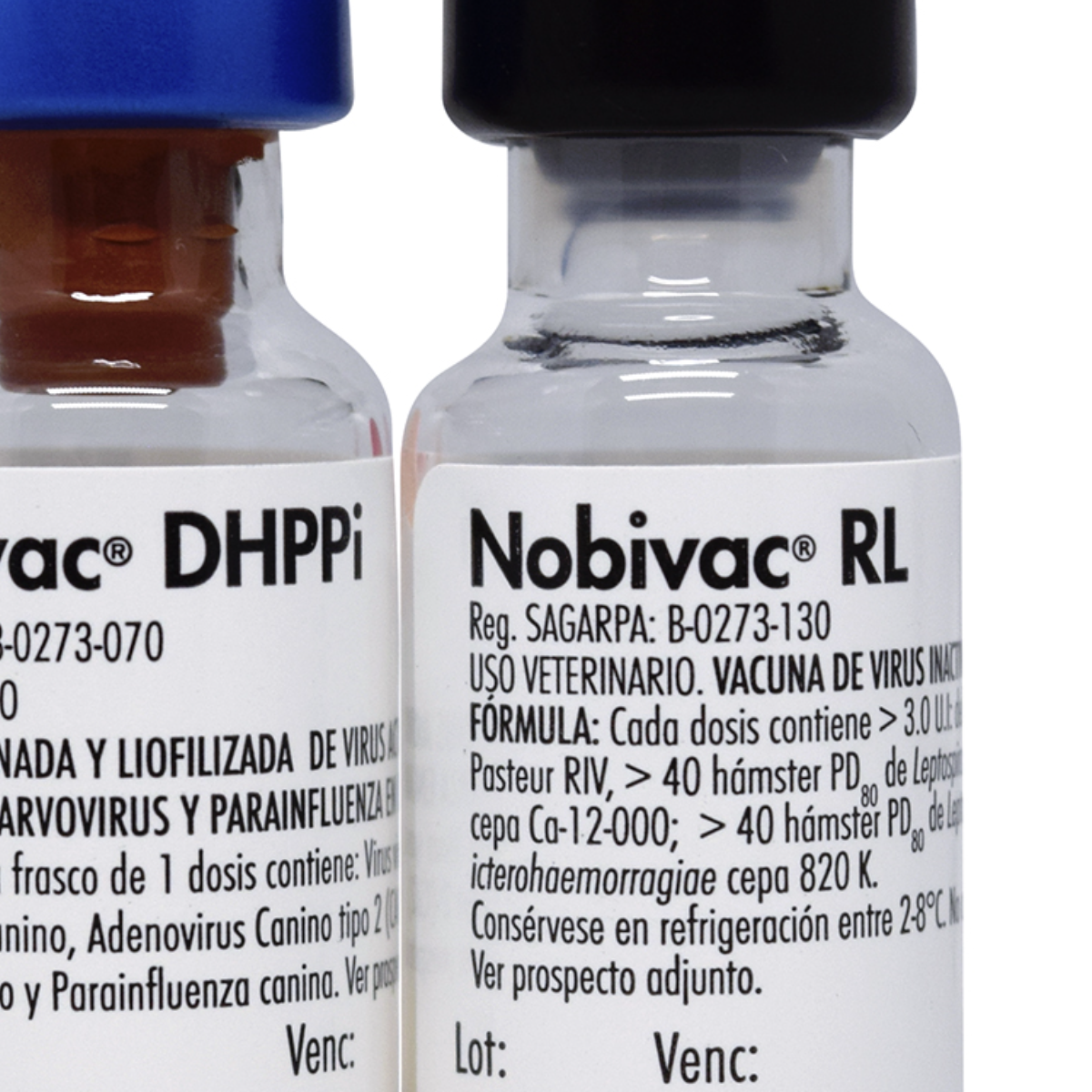 NOBIVAC DHPPI + RL - MSD