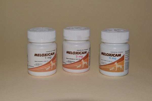 MELOXICAM - ALPHACHEM
