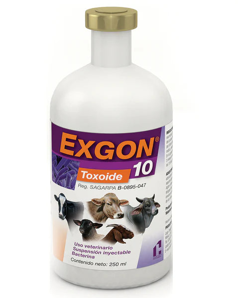 BACTERINA EXGON 10 - CHINOIN