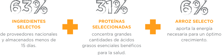 NUPEC FELINO DIGESTIVE HEALTH