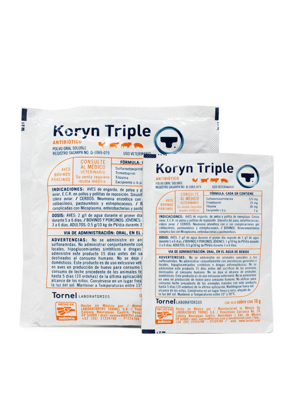 KORYN TRIPLE - TORNEL