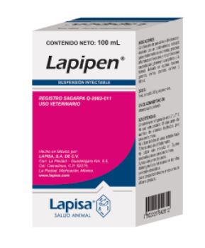 LAPIPEN