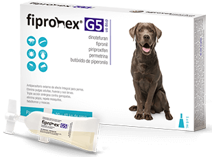 FIPRONEX G5 DROP ON - PET MEDICA
